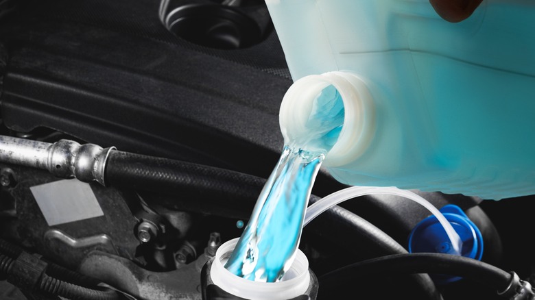 Windshield washer fluid being added to a car.