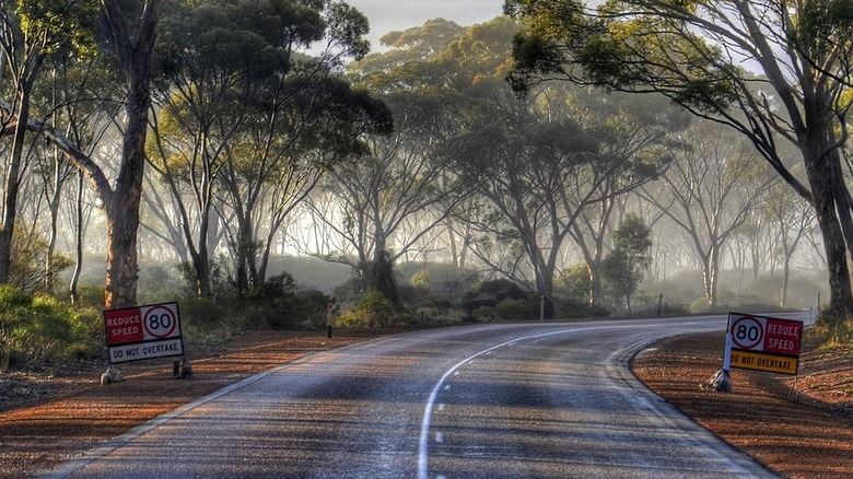 Australia's Highway 1 with speed signs posted among wooded passage
