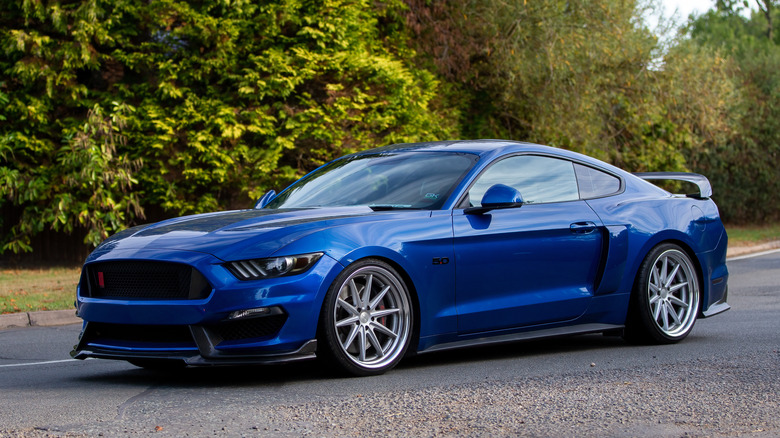 A blue Mustang GT sits parked on a street with trees in the background