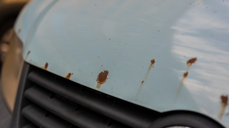 Small chips turning to rust on the hood of a white car.
