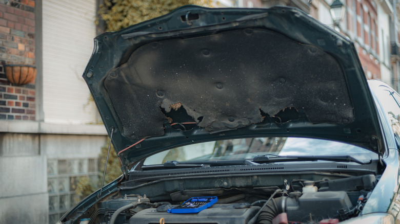 Car with open hood and damaged insulation.