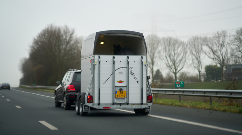 A black SUV tows a horse trailer down the road.