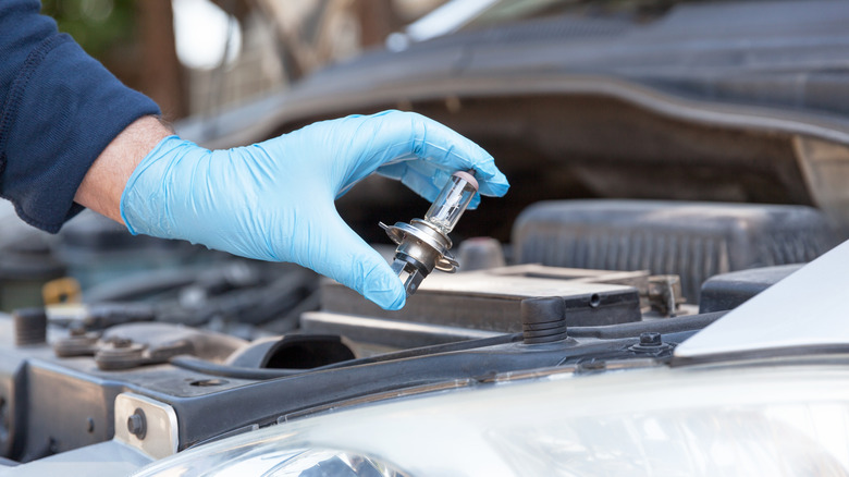 Mechanic holding a headlight bulb.