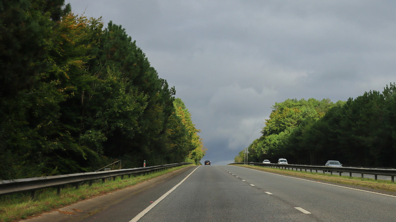 A35, near Dorchester, Dorset, England. 1 October 2024.