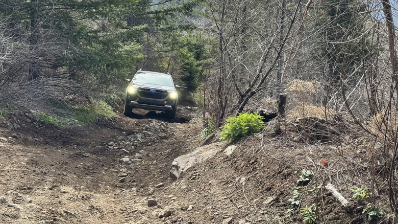 A wide shot of the gray Forester climbing a rocky trail surrounded by dead trees