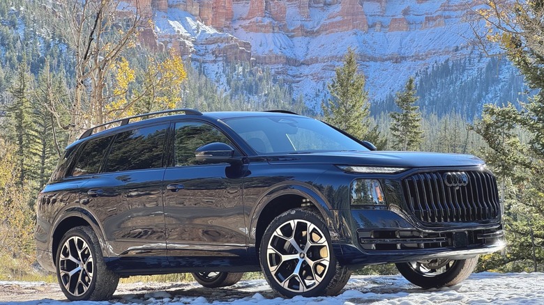 Front three-quarters shot of a dark blue Q9 parked on snow in front of tree-covered mountains and red snowy rocks