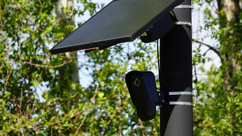 A Flock camera mounted to a utility pole.