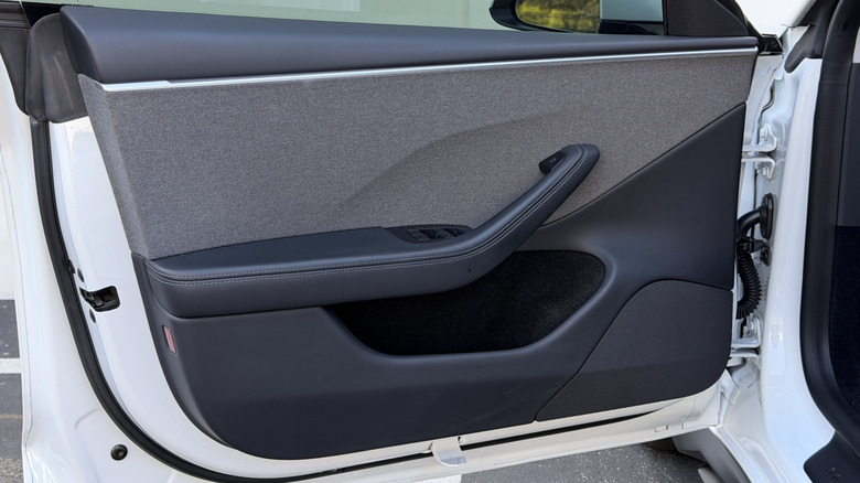 Tesla door