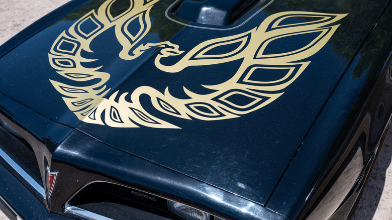 A close-up of a Pontiac Trans Am hood decal.