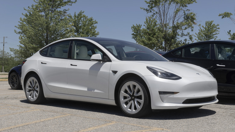 2024 White Tesla Model 3 parked at dealership