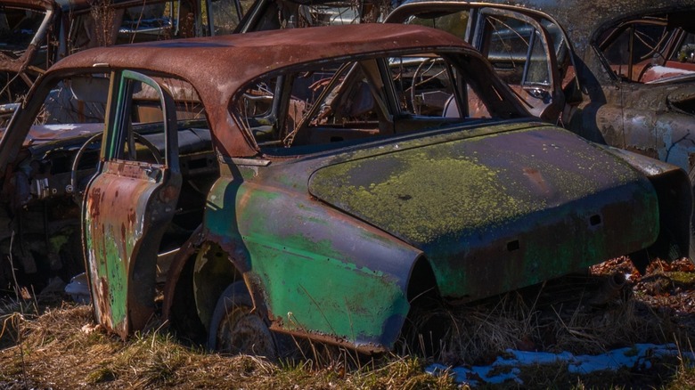 Rusted cars at an old junkyard.