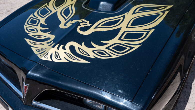 Pontiac Trans Am screaming chicken graphic