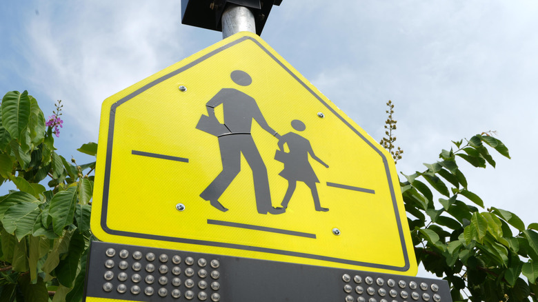 A school zone sign for a pedestrian cross walk against a green plant and a cloudy blue sky