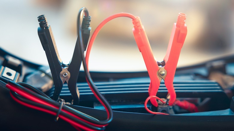 A trickle or maintenance charger connected to a car battery