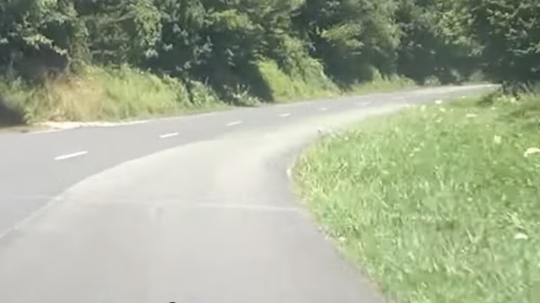 A road curves through woods.