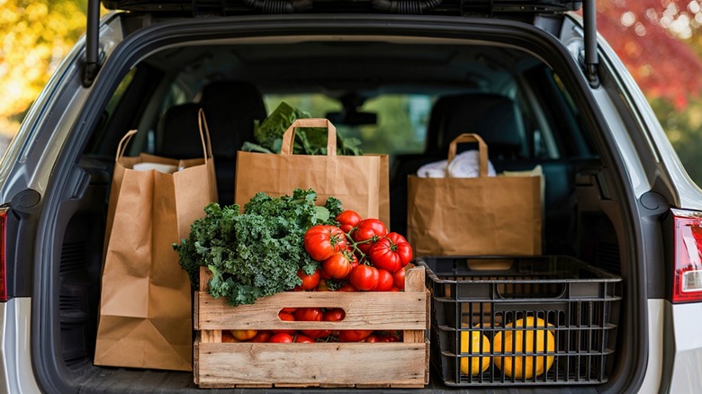 Groceries in the trunk of a car.