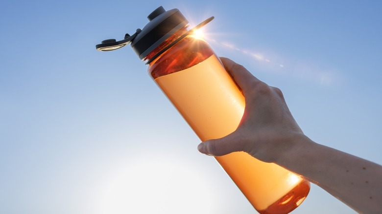 Hand holding reusable water bottle