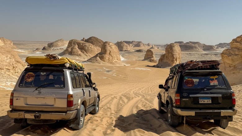 Two SUVs used for camping
