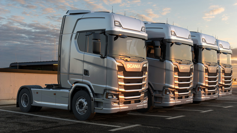 A row of Scania trucks sits parked.
