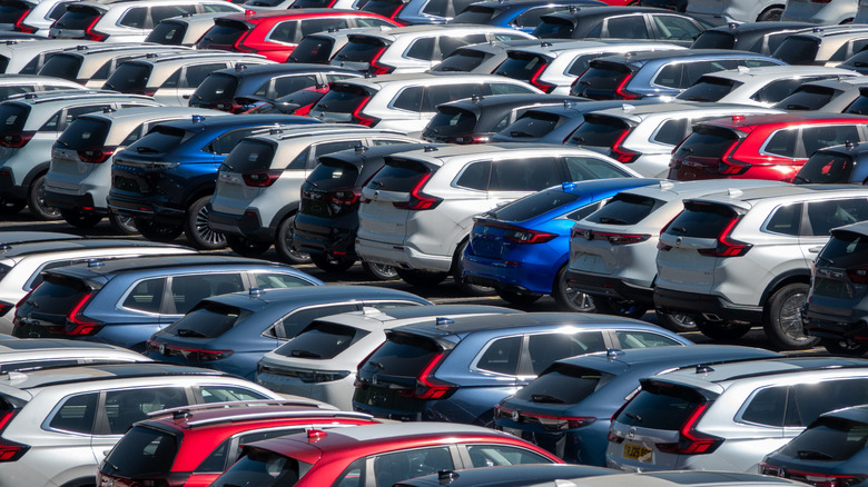 a sea of new cars from the rear in blue, red, gray and silver