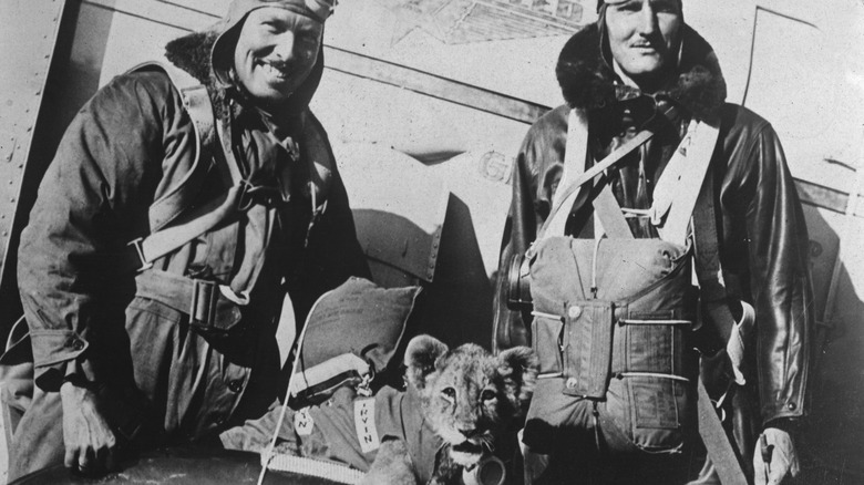 Roscoe Turner, left, with fellow pilot Bert White and Gilmore the lion in 1930