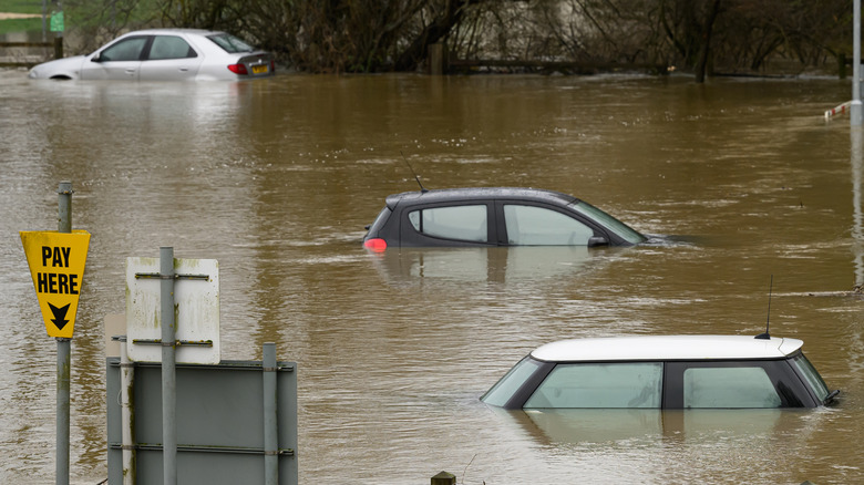 Three cars submerged during a flood