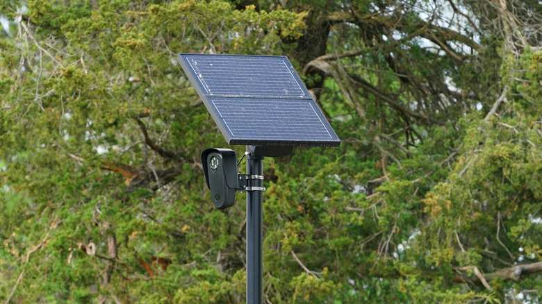 A Flock camera and solar panel mounted on top of a pole with trees in the background