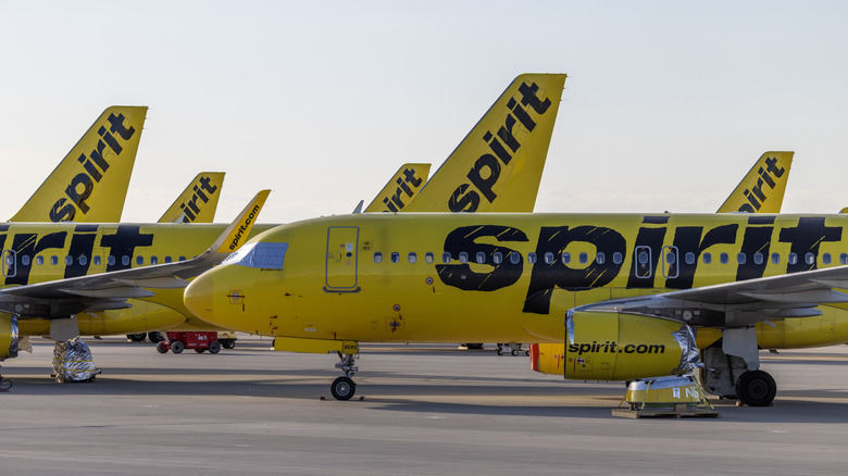 Spirit Airlines jets are parked for storage at Southern California Logistics Airport on May 2, 2026 in Victorville, California.
