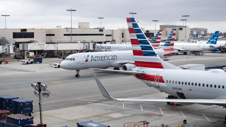 Several American Airlines planes at their terminal in Miami International Airport