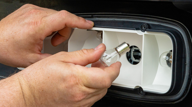 A person inserting a new bulb into the taillight housing of a truck