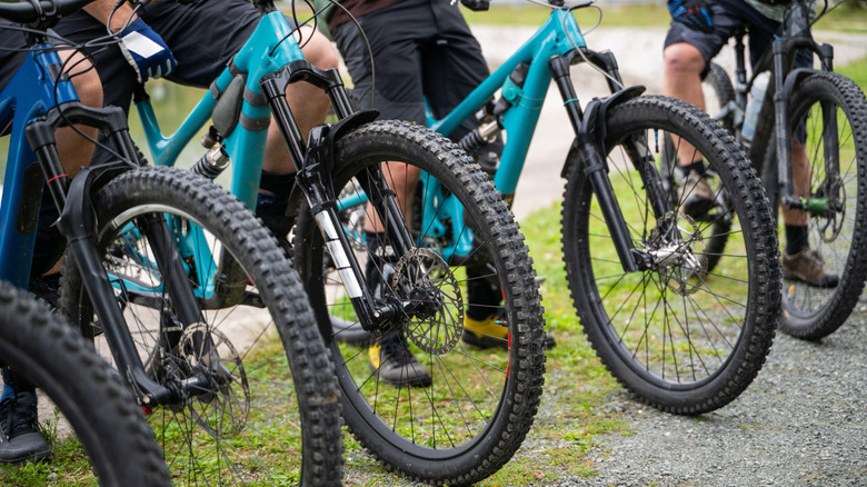A group of mountain bikers stopped off a trail.
