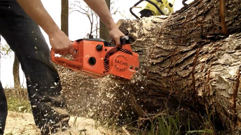 A Sachs Dolmar KMS-4 Wankel rotary engine chainsaw cutting through a tree.