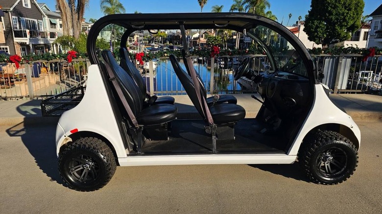 2019 GEM E4 NEV full side image
