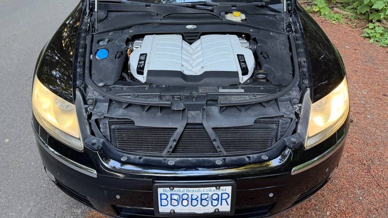 2005 Volkswagen Phaeton W12 2+2 6.0 W12 engine in Phaeton image