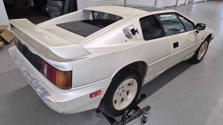 1988 Lotus Esprit 40th Anniversary Edition project car rear end image