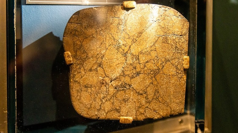 The Peekskill meteorite that crashed into a 1980 Chevrolet Malibu