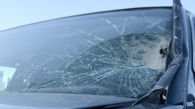 A close-up of a smashed car windscreen