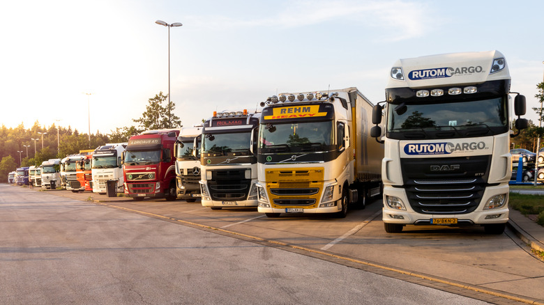 A row of big rigs parked at a stop along German's autobahn.