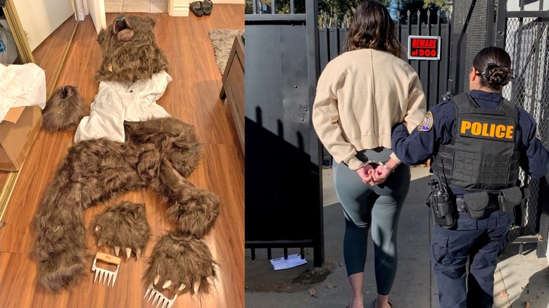 A photo of the bear suit and claws laying out on a hardwood floor next to a police officer walking a handcuffed person through a black gate