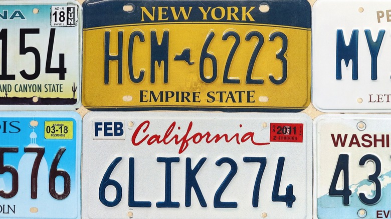 Assorted standard-size U.S. license plates.