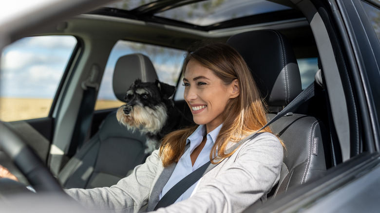 Pretty young smiling woman driving car with her pet friend cute dog standing beside her and looking road ahead, travel concept