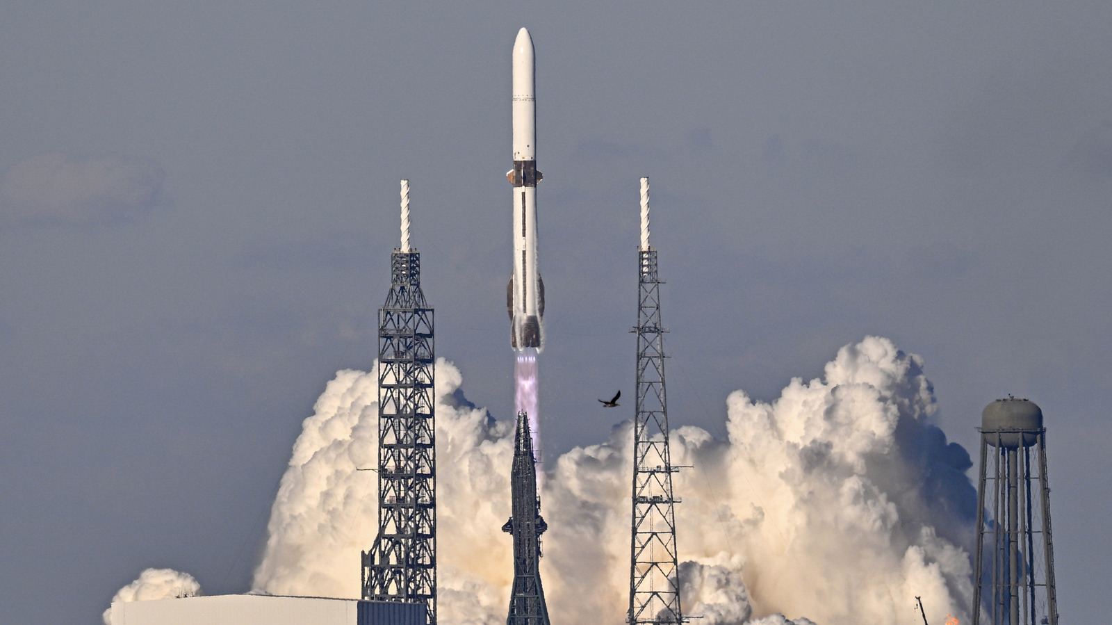 Blue Origin's New Glenn Rocket Completes First Mission, Begins Direct Competition With Spacex