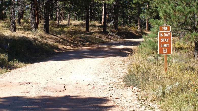 Dispersed camping area in a U.S. national forest