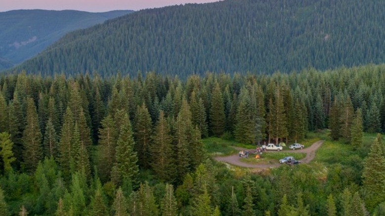 Dispersed campsite on side of mountain