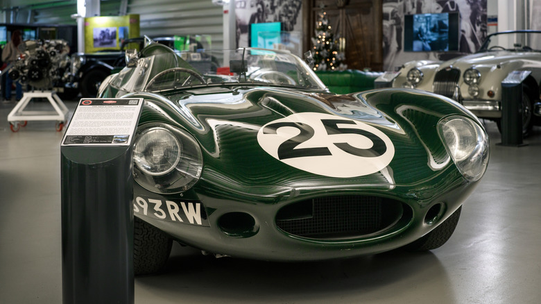 British racing green Jaguar D-Type in museum