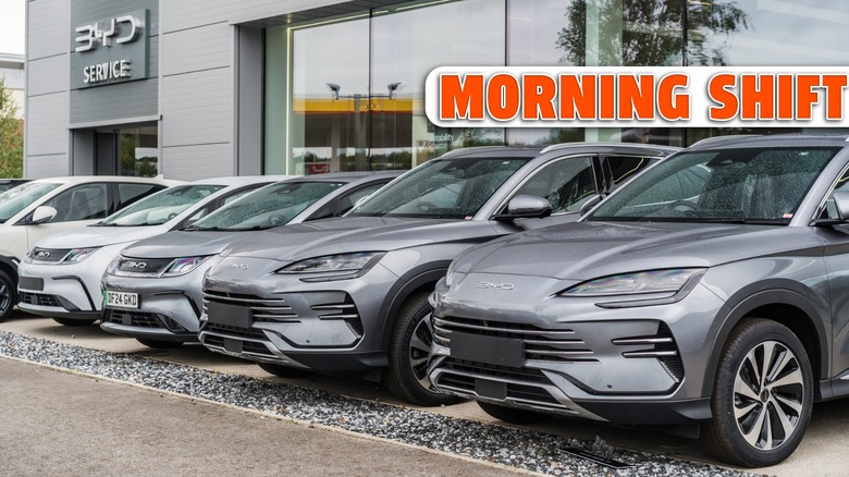 A row of BYD cars are displayed in a showroom forecourt