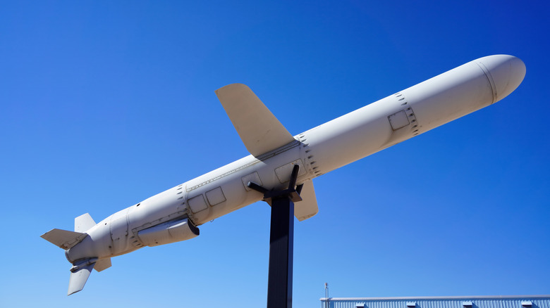 Cruise missile on display