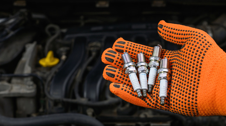 Mechanic's hand holding new spark plugs over an engine bay