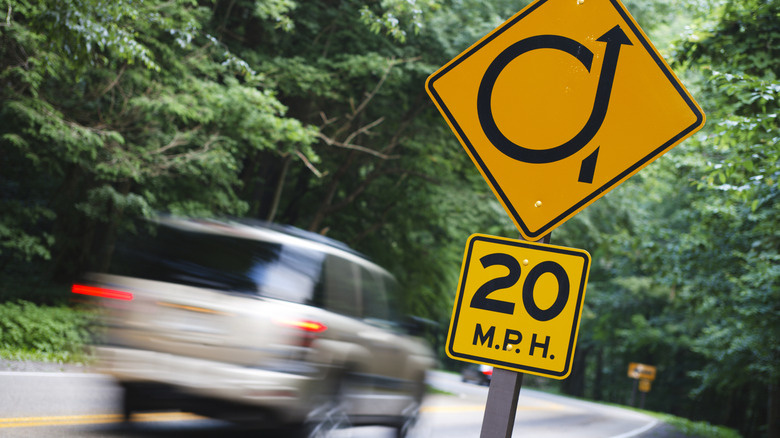 Curves on a mountain road in the Smoky Mountains.