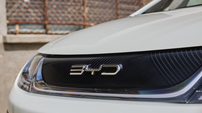 The nose of the BYD Dolphin, also known as the Seagull